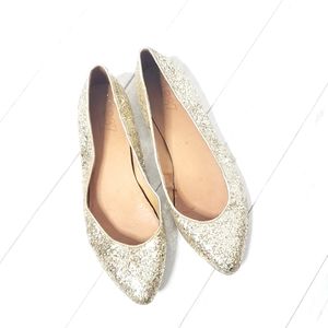 Madewell 1937 Glitter Ballet Flats Size 7.5